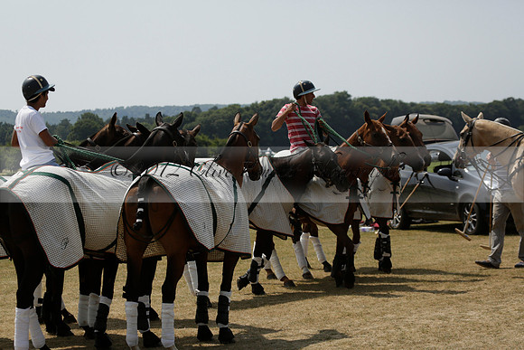 Silver Fox v Wintershall in a July 4 Goal Polo match 2013.07.17