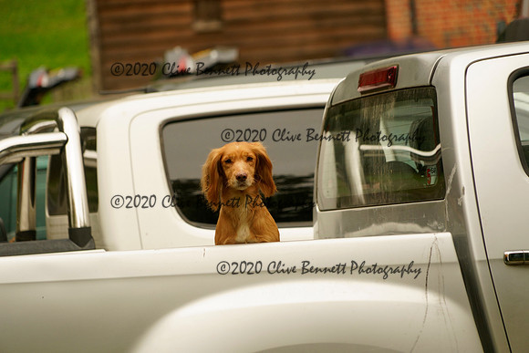 _CAB7681