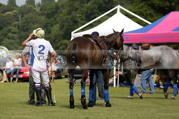 El Remanso v Sumaya in a Veuve Clicquot Gold Cup Polo Match 2013.07.13