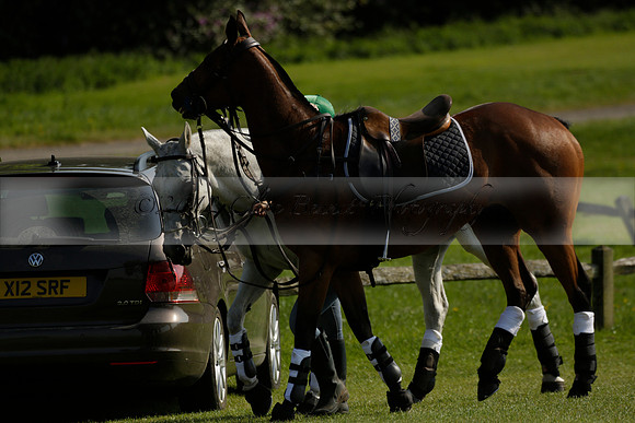 Lost Boys Cowdray Vikings in the Jaeger Le Coultre Duke of Sutherland Cup Subsidiary Final Polo match 2013.06.06