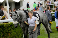 Race 6 Goodwood The British Stallion Studs Turf Club E.B.F. Fillies Stakes. 20130731. Race winner Ribbons owner Elite Racing Club