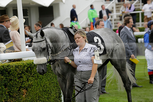 Race 6 Goodwood The British Stallion Studs Turf Club E.B.F. Fillies Stakes. 20130731. Race winner Ribbons owner Elite Racing Club