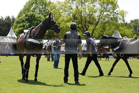 Black Bears v Salkeld in a Cartier Queens Cup polo match 2013.06.05