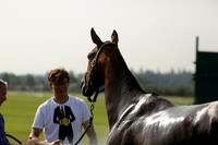 Governors v Jaeger Le Coultre Wintershall in a Texaco Trophy Polo match 2013.07.12