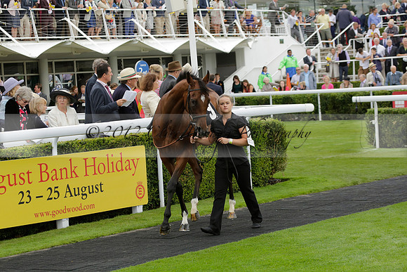 Race 6 Goodwood The British Stallion Studs Turf Club E.B.F. Fillies Stakes. 20130731. Race winner Ribbons owner Elite Racing Club