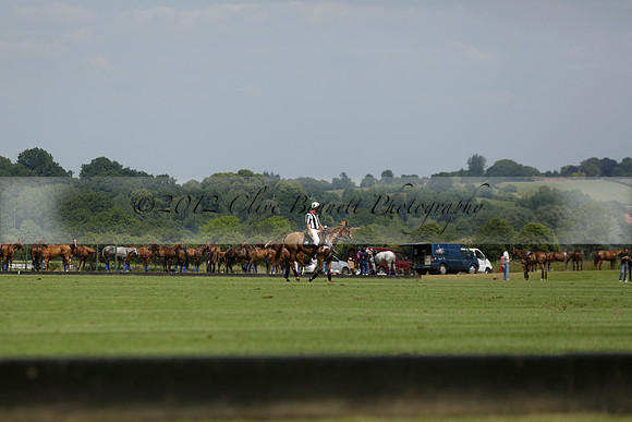 UAE Polo v El Remanso in a Veuve Clicquot Gold Cup Polo Match 2013.07.05