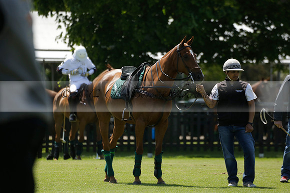 Black Bears v Salkeld in a Cartier Queens Cup polo match 2013.06.05