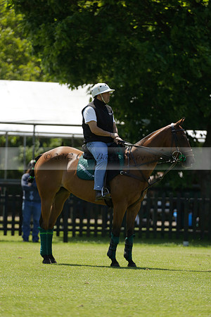 Black Bears v Salkeld in a Cartier Queens Cup polo match 2013.06.05