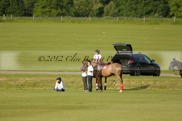 Shoreline v Cowdray Vikings in a Easebourne Cup Semi-final Polo match 2013.06.07
