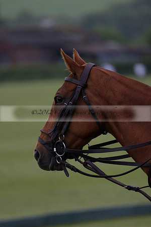 Burningfold v Combe Place in a June 4 Goal Cup polo match 2013.06.11