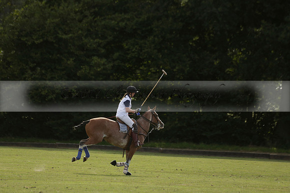 Thumos v Putney Architects in the -4 Goal Final at The Pro-Am City Polo Championships on Sunday 1 September 2013 at Ascot Park Polo Club. www.polopictures.co.uk