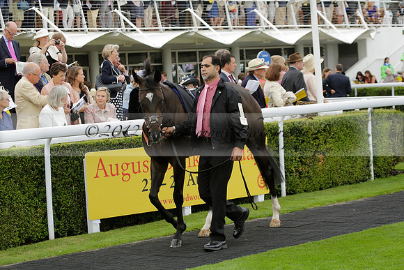 Race 6 Goodwood The British Stallion Studs Turf Club E.B.F. Fillies Stakes. 20130731. Race winner Ribbons owner Elite Racing Club