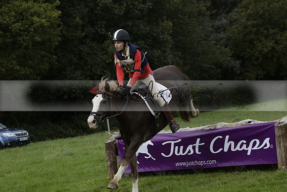 Chiddingfold, Leconfield and Cowdray Hunt, Hunter Trials at Iping on Sunday 20 October 2013. 2013.10.20 www.polopictures.co.uk