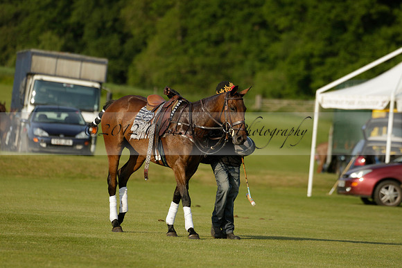 Shoreline v Cowdray Vikings in a Easebourne Cup Semi-final Polo match 2013.06.07