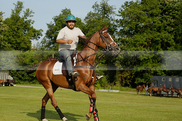 Shoreline v Cowdray Vikings in a Easebourne Cup Semi-final Polo match 2013.06.07