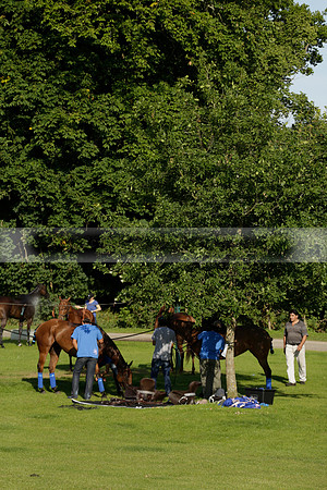 El Remanso v Emlor in a Veuve Clicquot Gold Cup Polo Match 2013.06.30
