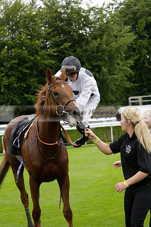 Race 6 Goodwood The British Stallion Studs Turf Club E.B.F. Fillies Stakes. 20130731. Race winner Ribbons owner Elite Racing Club