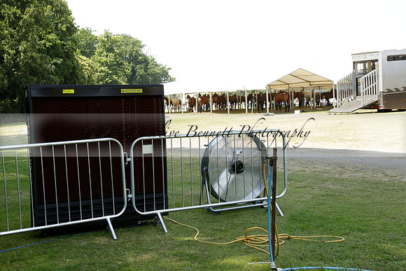 Zacara v Talandracas in a Veuve Clicquot Gold Cup Polo Match 2013.07.18