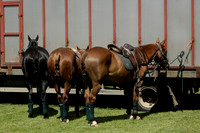 HFS Milbourne Cup Final played at Hurtwood Polo Club on Friday 14 June 2013