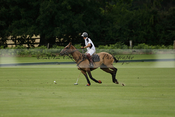 Beau Design v Boscom in an August Rother Cup 4 goal polo match at Cowdray Park Polo Club on Wednesday 07 August 2013