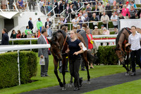 Race 6 Goodwood The British Stallion Studs Turf Club E.B.F. Fillies Stakes. 20130731. Race winner Ribbons owner Elite Racing Club