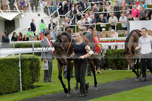 Race 6 Goodwood The British Stallion Studs Turf Club E.B.F. Fillies Stakes. 20130731. Race winner Ribbons owner Elite Racing Club