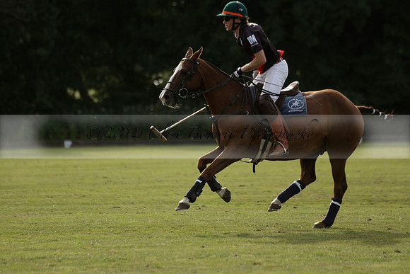 Thumos v Putney Architects in the -4 Goal Final at The Pro-Am City Polo Championships on Sunday 1 September 2013 at Ascot Park Polo Club. www.polopictures.co.uk