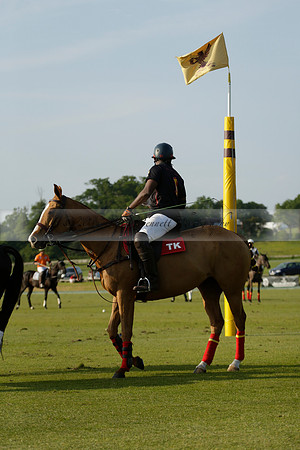 Shoreline v Cowdray Vikings in a Easebourne Cup Semi-final Polo match 2013.06.07