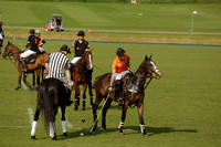 Shoreline v Cowdray Vikings in a Easebourne Cup Semi-final Polo match 2013.06.07