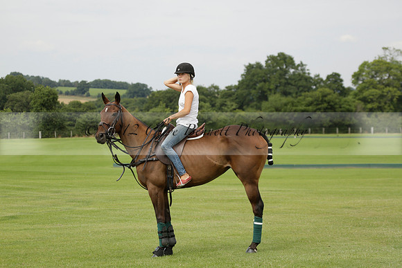 Beau Design v Boscom in an August Rother Cup 4 goal polo match at Cowdray Park Polo Club on Wednesday 07 August 2013