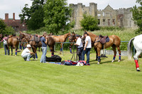 Twelve Oaks v HB Polo in a Veuve Clicquot Gold Cup Polo Match 2013.06.30