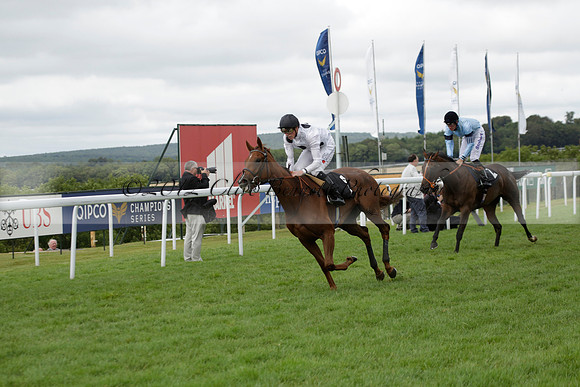 Race 6 Goodwood The British Stallion Studs Turf Club E.B.F. Fillies Stakes. 20130731. Race winner Ribbons owner Elite Racing Club