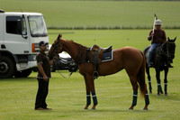 Madams Farm v Las Estrellas in the June 4 Goal Subsidiary Final Polo match 2013.06.16