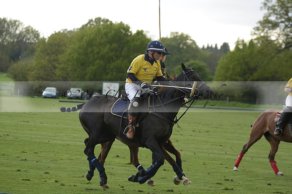 Las Estrellas v Shoreline in a May 4 Goal Spring Cup Polo match 2013.05.15