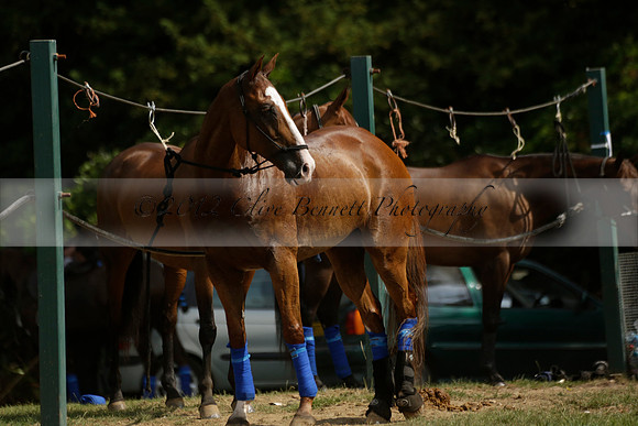 El Remanso v Sumaya in a Veuve Clicquot Gold Cup Polo Match 2013.07.13