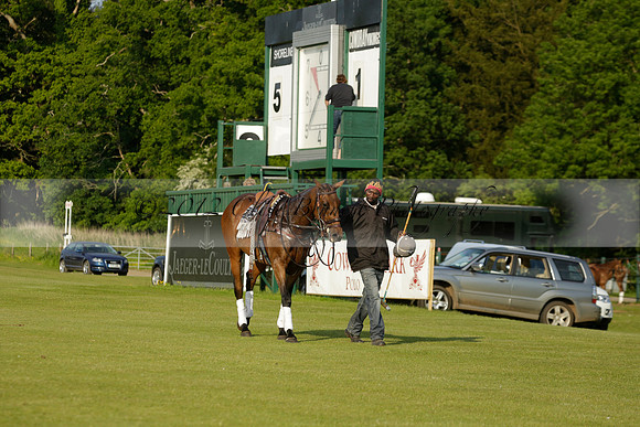 Shoreline v Cowdray Vikings in a Easebourne Cup Semi-final Polo match 2013.06.07
