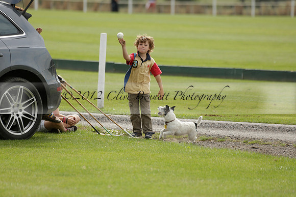 Beau Design v Boscom in an August Rother Cup 4 goal polo match at Cowdray Park Polo Club on Wednesday 07 August 2013