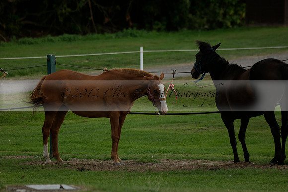 The Junior HPA / Polo Club Gannon 1  polo match and presentations at Cowdray Park Polo Club on Friday 09  August 2013