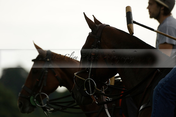 Enigma v Thai Polo in a Veuve Clicquot Gold Cup Polo Match 2013.06.25