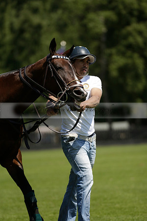 Black Bears v Salkeld in a Cartier Queens Cup polo match 2013.06.05