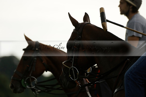 Enigma v Thai Polo in a Veuve Clicquot Gold Cup Polo Match 2013.06.25