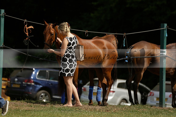 El Remanso v Sumaya in a Veuve Clicquot Gold Cup Polo Match 2013.07.13