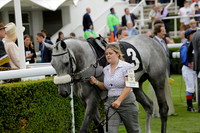 Race 6 Goodwood The British Stallion Studs Turf Club E.B.F. Fillies Stakes. 20130731. Race winner Ribbons owner Elite Racing Club