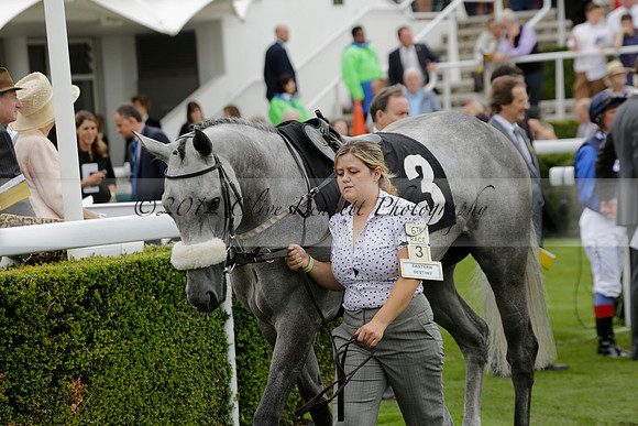 Race 6 Goodwood The British Stallion Studs Turf Club E.B.F. Fillies Stakes. 20130731. Race winner Ribbons owner Elite Racing Club