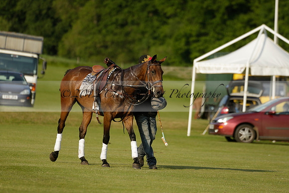 Shoreline v Cowdray Vikings in a Easebourne Cup Semi-final Polo match 2013.06.07