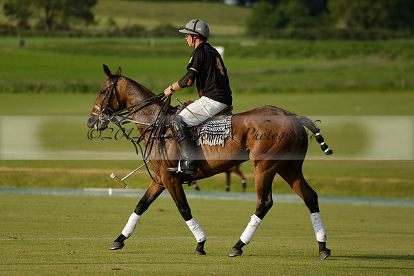Shoreline v Cowdray Vikings in a Easebourne Cup Semi-final Polo match 2013.06.07