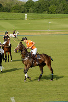 Shoreline v Cowdray Vikings in a Easebourne Cup Semi-final Polo match 2013.06.07