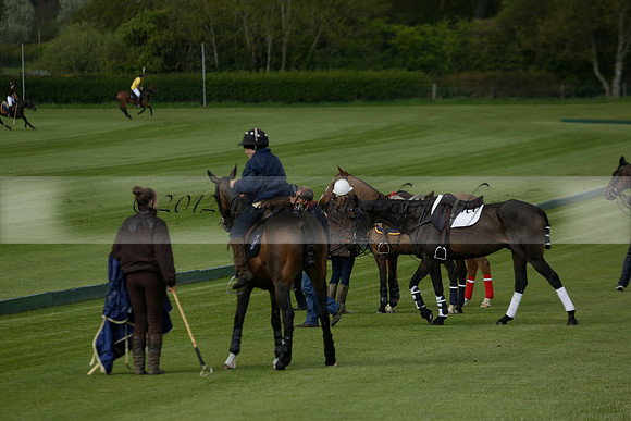 Las Estrellas v Shoreline in a May 4 Goal Spring Cup Polo match 2013.05.15