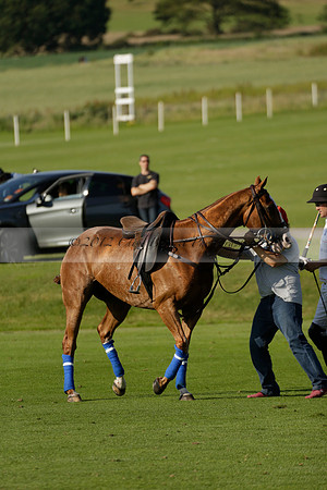 El Remanso v Emlor in a Veuve Clicquot Gold Cup Polo Match 2013.06.30