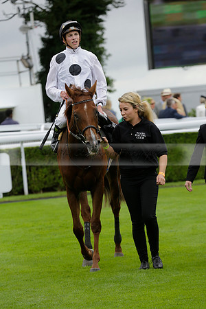 Race 6 Goodwood The British Stallion Studs Turf Club E.B.F. Fillies Stakes. 20130731. Race winner Ribbons owner Elite Racing Club